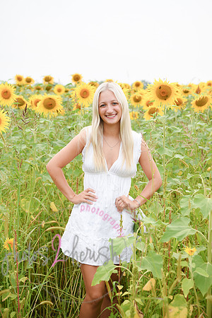 Sunflowers [kenzie] peek 042