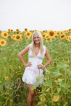 Sunflowers [kenzie] peek 043