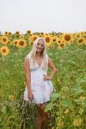 Sunflowers [kenzie] peek 044