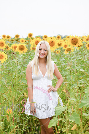 Sunflowers [kenzie] peek 045