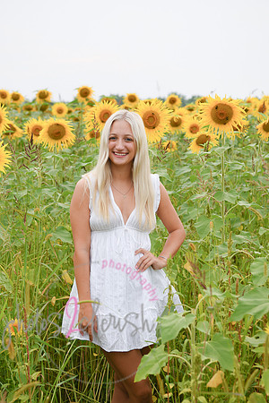 Sunflowers [kenzie] peek 046