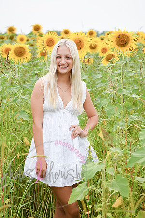Sunflowers [kenzie] peek 047