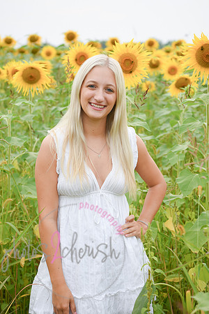 Sunflowers [kenzie] peek 048