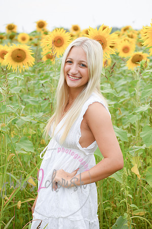Sunflowers [kenzie] peek 053