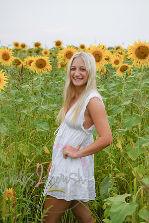 Sunflowers [kenzie] peek 054