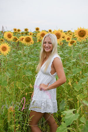Sunflowers [kenzie] peek 055