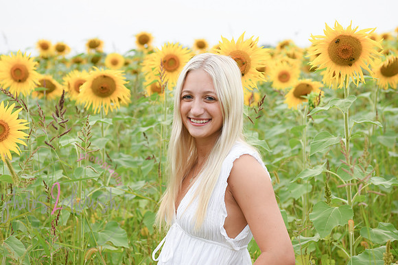 Sunflowers [kenzie] peek 056