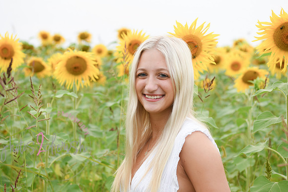 Sunflowers [kenzie] peek 057