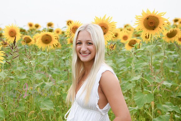 Sunflowers [kenzie] peek 058