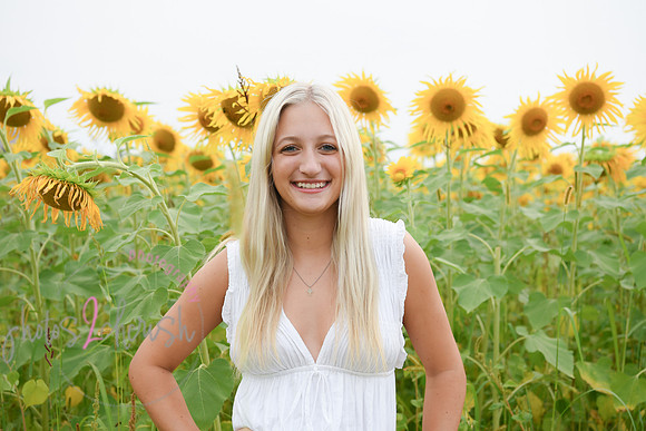 Sunflowers [kenzie] peek 059