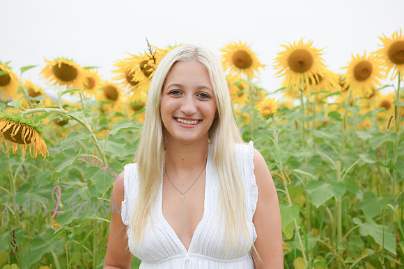 Sunflowers [kenzie] peek 060