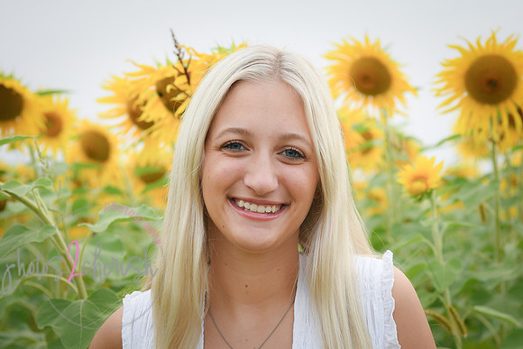 Sunflowers [kenzie] peek 061