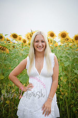 Sunflowers [kenzie] peek 063