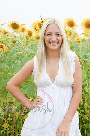 Sunflowers [kenzie] peek 064