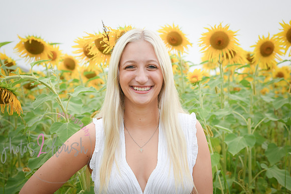 Sunflowers [kenzie] peek 066