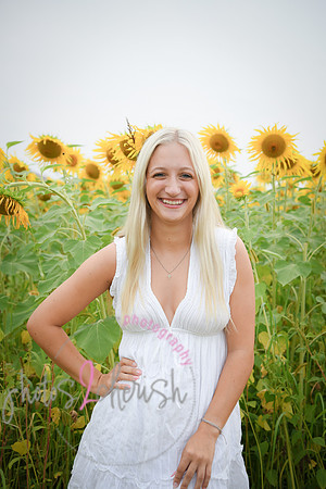 Sunflowers [kenzie] peek 065