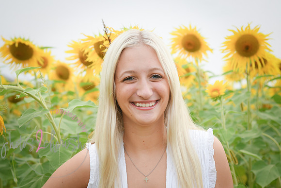 Sunflowers [kenzie] peek 067