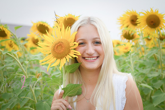Sunflowers [kenzie] peek 068