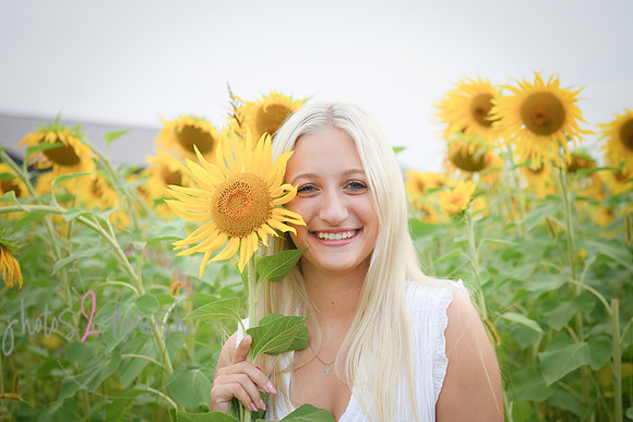 Sunflowers [kenzie] peek 069