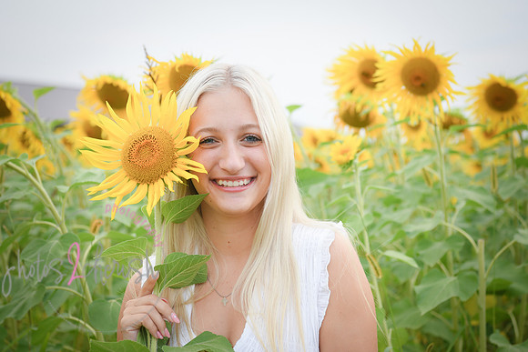 Sunflowers [kenzie] peek 070