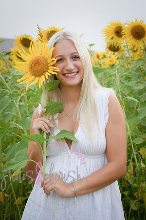 Sunflowers [kenzie] peek 071