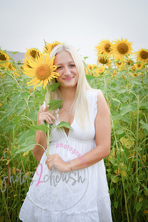 Sunflowers [kenzie] peek 072