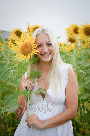 Sunflowers [kenzie] peek 073