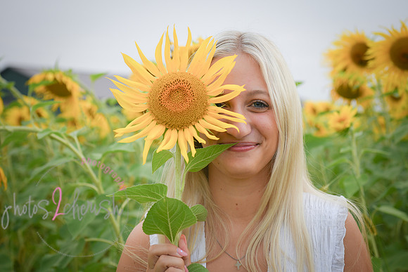 Sunflowers [kenzie] peek 074