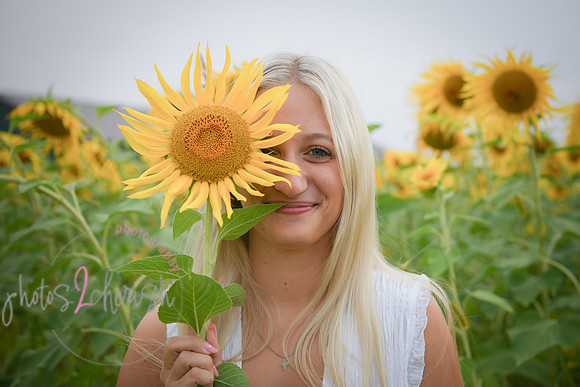 Sunflowers [kenzie] peek 075