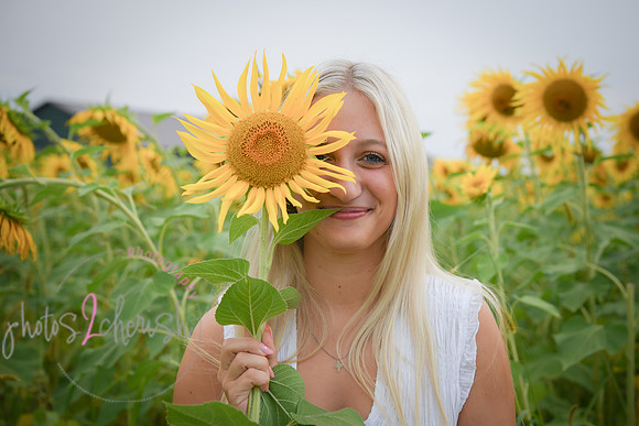 Sunflowers [kenzie] peek 076