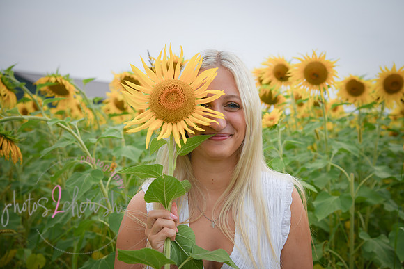 Sunflowers [kenzie] peek 077