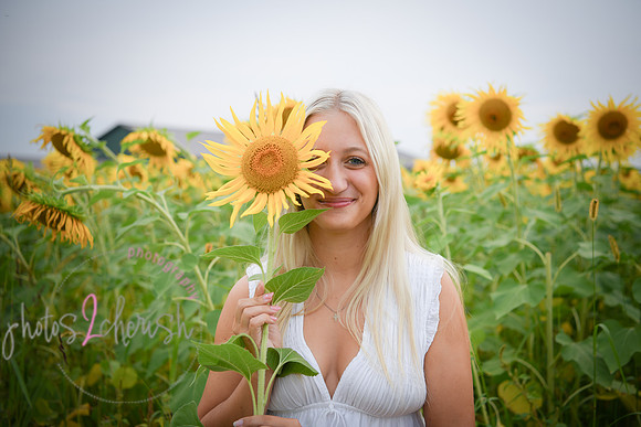 Sunflowers [kenzie] peek 078