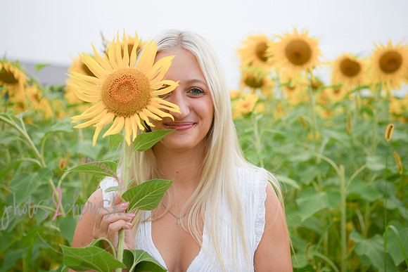 Sunflowers [kenzie] peek 079