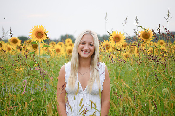 Sunflowers [kenzie] peek 080
