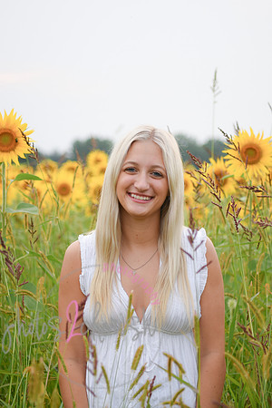 Sunflowers [kenzie] peek 081
