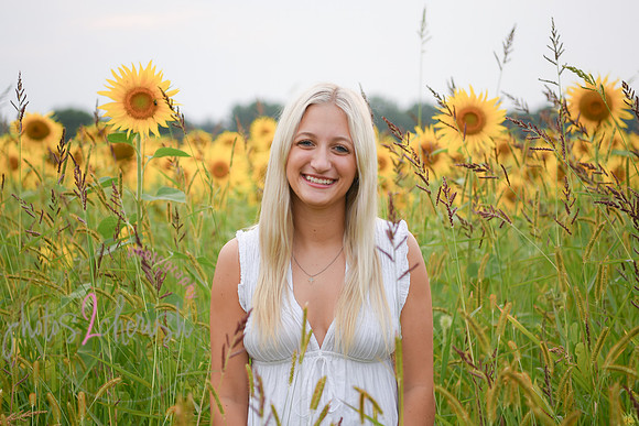 Sunflowers [kenzie] peek 082