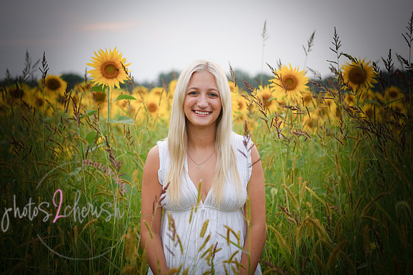 Sunflowers [kenzie] peek 083