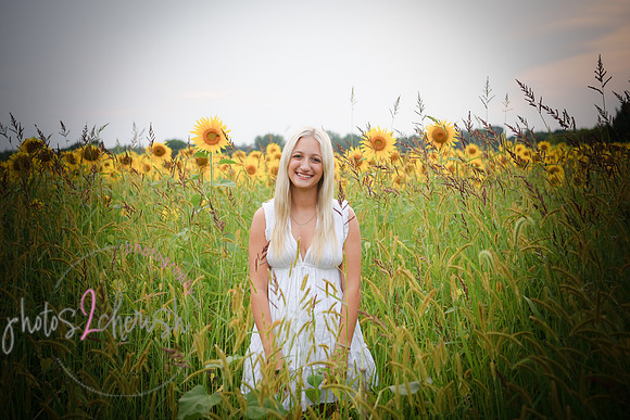 Sunflowers [kenzie] peek 084