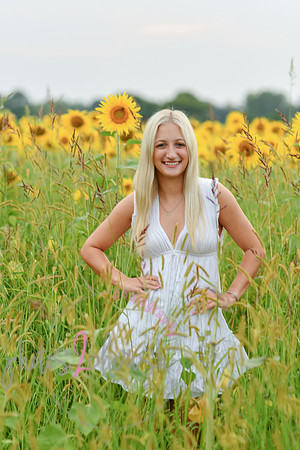Sunflowers [kenzie] peek 107