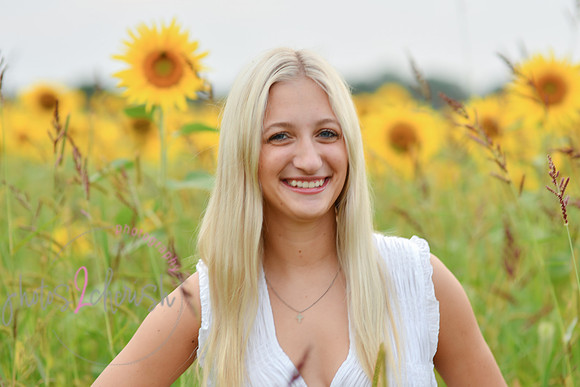 Sunflowers [kenzie] peek 108