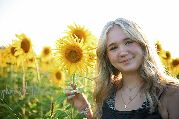 Sunflowers [mink]  07