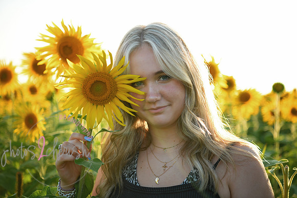 Sunflowers [mink]  10