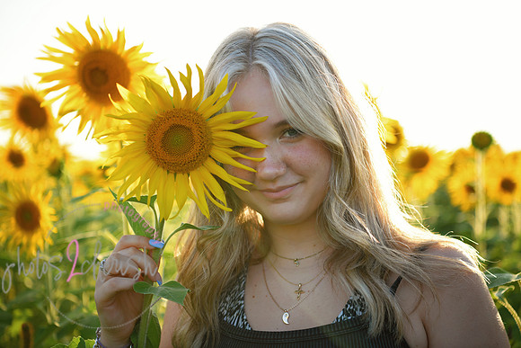 Sunflowers [mink]  11