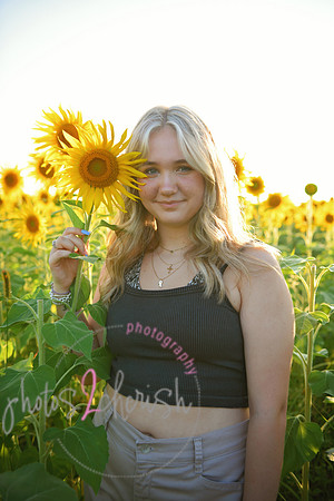 Sunflowers [mink]  13