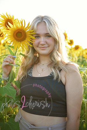 Sunflowers [mink]  14
