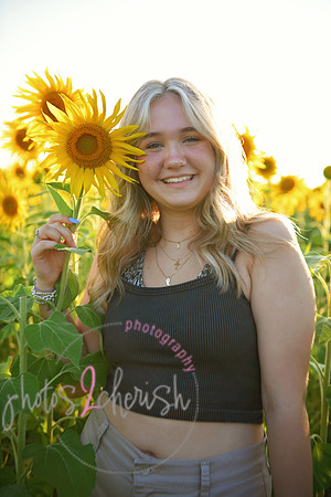 Sunflowers [mink]  15