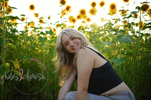 Sunflowers [mink]  16