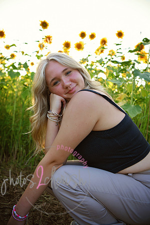 Sunflowers [mink]  23
