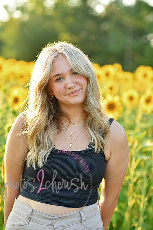 Sunflowers [mink]  27