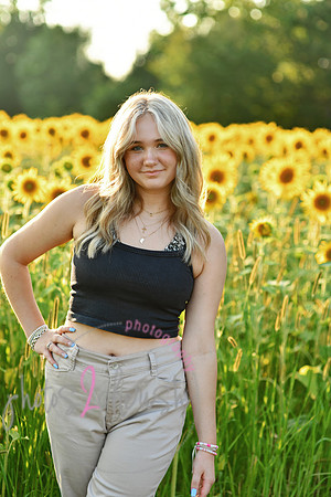 Sunflowers [mink]  38